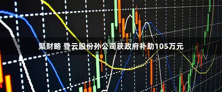 聚财略 登云股份孙公司获政府补助105万元