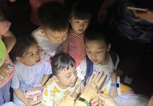 成都赚配网 不止于观鸟赏蝶！广东自然教育深入社区“圈粉”全龄段